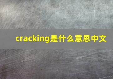 cracking是什么意思中文