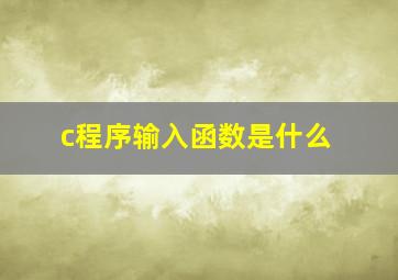 c程序输入函数是什么