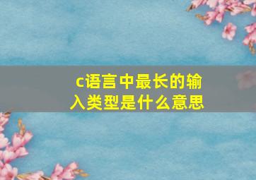 c语言中最长的输入类型是什么意思