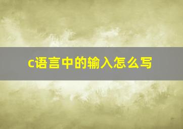 c语言中的输入怎么写