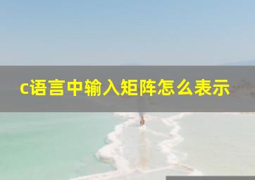 c语言中输入矩阵怎么表示