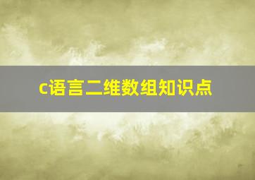 c语言二维数组知识点