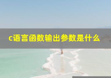 c语言函数输出参数是什么