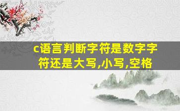 c语言判断字符是数字字符还是大写,小写,空格