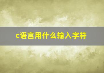 c语言用什么输入字符