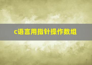 c语言用指针操作数组