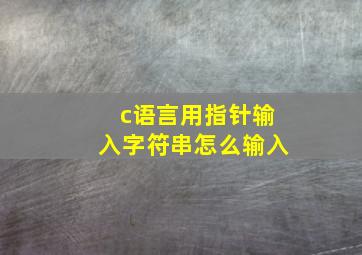 c语言用指针输入字符串怎么输入