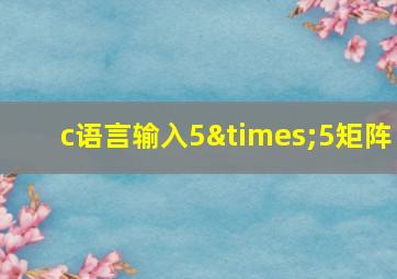 c语言输入5×5矩阵