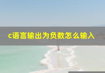 c语言输出为负数怎么输入