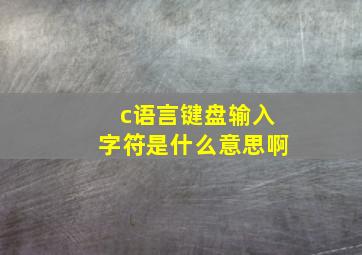 c语言键盘输入字符是什么意思啊