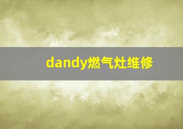 dandy燃气灶维修