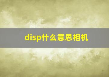 disp什么意思相机