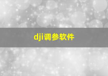 dji调参软件