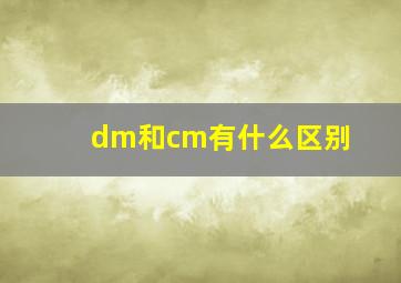 dm和cm有什么区别