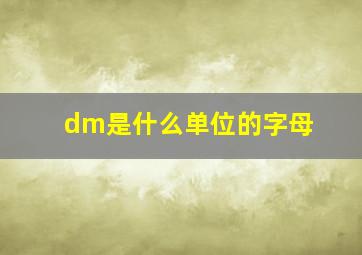 dm是什么单位的字母