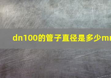 dn100的管子直径是多少mm