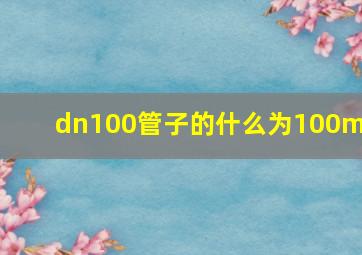 dn100管子的什么为100mm