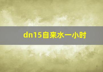 dn15自来水一小时