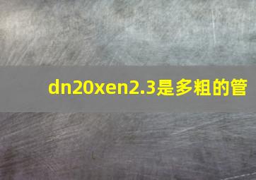 dn20xen2.3是多粗的管