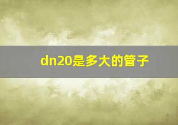 dn20是多大的管子