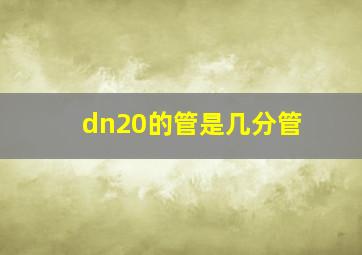 dn20的管是几分管