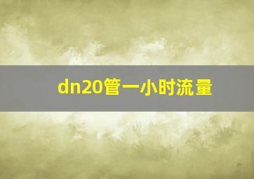 dn20管一小时流量