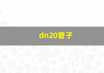 dn20管子