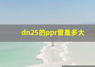 dn25的ppr管是多大