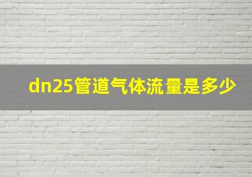 dn25管道气体流量是多少