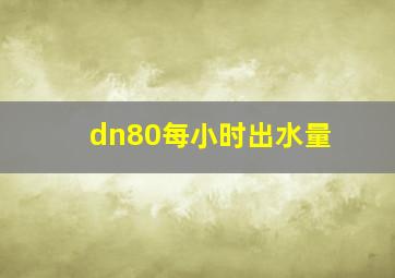 dn80每小时出水量