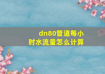 dn80管道每小时水流量怎么计算