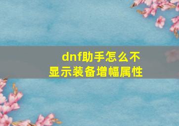 dnf助手怎么不显示装备增幅属性