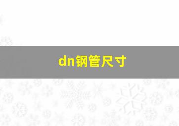 dn钢管尺寸