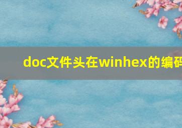 doc文件头在winhex的编码