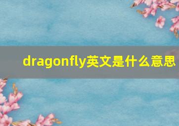 dragonfly英文是什么意思