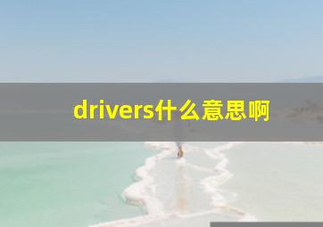 drivers什么意思啊