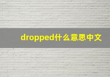 dropped什么意思中文