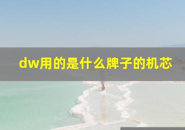 dw用的是什么牌子的机芯