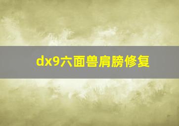 dx9六面兽肩膀修复