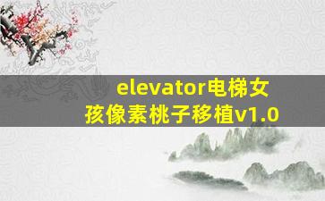 elevator电梯女孩像素桃子移植v1.0