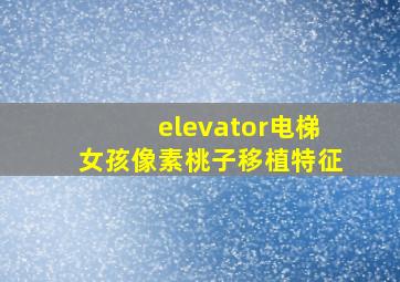 elevator电梯女孩像素桃子移植特征