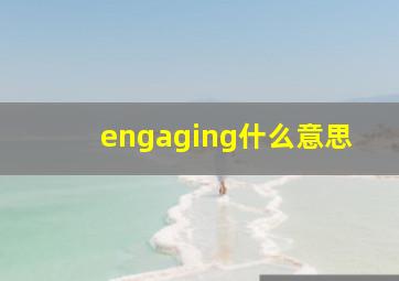 engaging什么意思