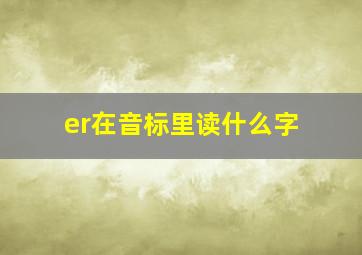 er在音标里读什么字