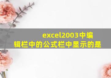 excel2003中编辑栏中的公式栏中显示的是