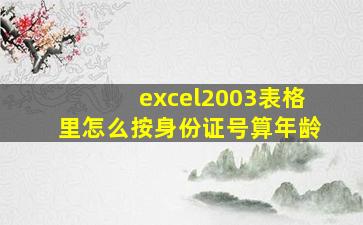 excel2003表格里怎么按身份证号算年龄