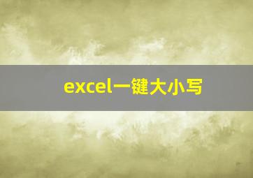 excel一键大小写