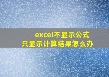 excel不显示公式只显示计算结果怎么办