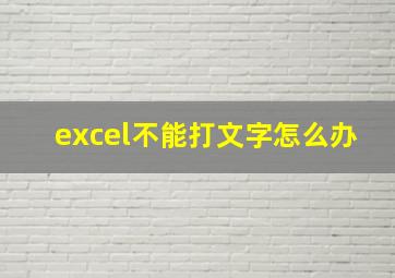 excel不能打文字怎么办