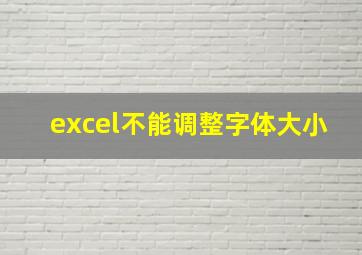 excel不能调整字体大小