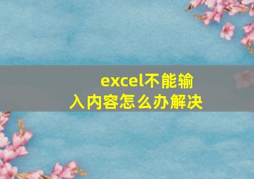 excel不能输入内容怎么办解决